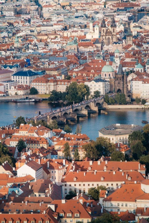 STUDY IN CZECH REPUBLIC Career Ladder Study Abroad